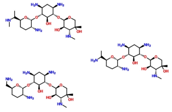 ゲンタマイシン硫酸塩産生のプロセス中の淡水化および脱色プロセス